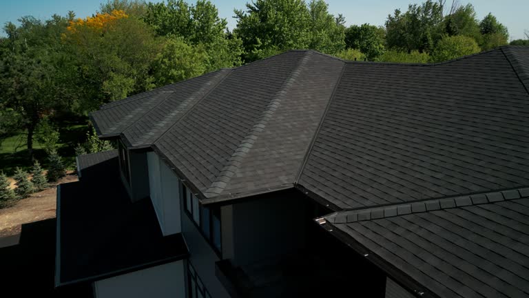 Siding in Hollister, MO