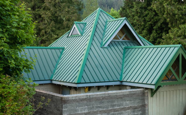 Best Chimney Flashing Repair  in Hollister, MO