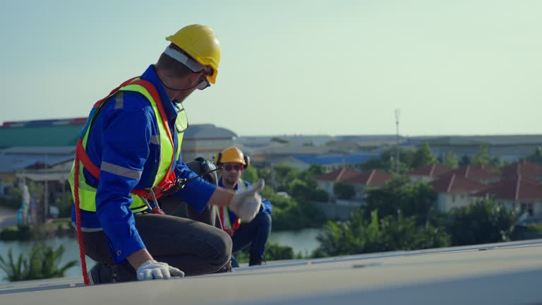Best Roof Moss and Algae Removal  in Hollister, MO