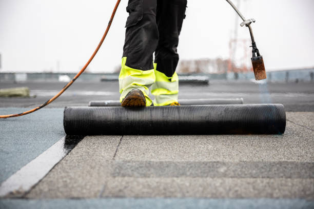 Best Roof Maintenance and Cleaning  in Hollister, MO