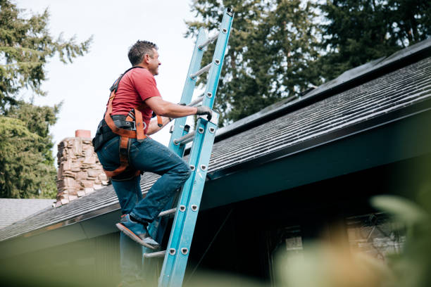 Best Steel Roofing  in Hollister, MO