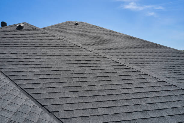 Best Roof Ventilation Installation  in Hollister, MO