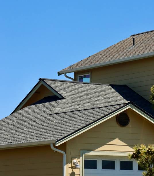 Best Skylight Installation and Repair  in Hollister, MO